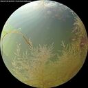 ./images/calvert/underwater/20260730/underwater20260730_065501M.jpg