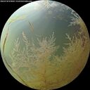 ./images/calvert/underwater/20260730/underwater20260730_070002M.jpg