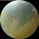 ./images/calvert/underwater/20260730/underwater20260730_070501M.jpg