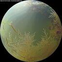./images/calvert/underwater/20260730/underwater20260730_071002M.jpg