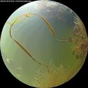./images/calvert/underwater/20260730/underwater20260730_073501M.jpg
