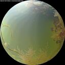 ./images/calvert/underwater/20260730/underwater20260730_074001M.jpg