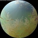 ./images/calvert/underwater/20260730/underwater20260730_075001M.jpg