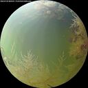 ./images/calvert/underwater/20260730/underwater20260730_080501M.jpg