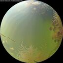 ./images/calvert/underwater/20260730/underwater20260730_081501M.jpg