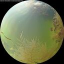 ./images/calvert/underwater/20260730/underwater20260730_083001M.jpg