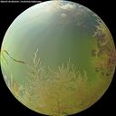 ./images/calvert/underwater/20260730/underwater20260730_083501M.jpg