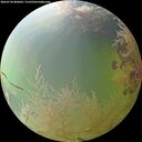 ./images/calvert/underwater/20260730/underwater20260730_084001M.jpg