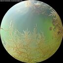 ./images/calvert/underwater/20260730/underwater20260730_085002M.jpg
