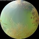 ./images/calvert/underwater/20260730/underwater20260730_085501M.jpg
