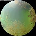./images/calvert/underwater/20260730/underwater20260730_090001M.jpg