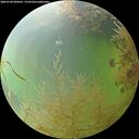 ./images/calvert/underwater/20260730/underwater20260730_090501M.jpg