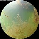 ./images/calvert/underwater/20260730/underwater20260730_091001M.jpg