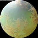 ./images/calvert/underwater/20260730/underwater20260730_091501M.jpg