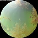 ./images/calvert/underwater/20260730/underwater20260730_092002M.jpg