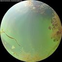 ./images/calvert/underwater/20260730/underwater20260730_092501M.jpg