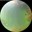 ./images/calvert/underwater/20260730/underwater20260730_093001M.jpg