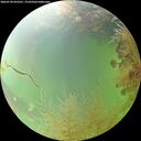 ./images/calvert/underwater/20260730/underwater20260730_093501M.jpg
