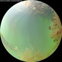 ./images/calvert/underwater/20260730/underwater20260730_100001M.jpg