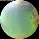 ./images/calvert/underwater/20260730/underwater20260730_101501M.jpg