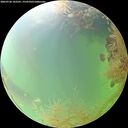 ./images/calvert/underwater/20260730/underwater20260730_102501M.jpg