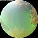 ./images/calvert/underwater/20260730/underwater20260730_103001M.jpg