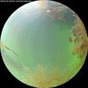 ./images/calvert/underwater/20260730/underwater20260730_103501M.jpg