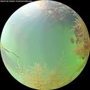 ./images/calvert/underwater/20260730/underwater20260730_104002M.jpg