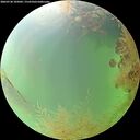 ./images/calvert/underwater/20260730/underwater20260730_105001M.jpg
