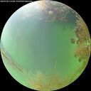 ./images/calvert/underwater/20260730/underwater20260730_111501M.jpg
