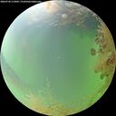 ./images/calvert/underwater/20260730/underwater20260730_112001M.jpg