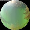./images/calvert/underwater/20260730/underwater20260730_112502M.jpg