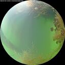./images/calvert/underwater/20260730/underwater20260730_113501M.jpg