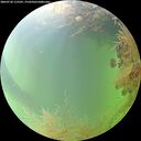 ./images/calvert/underwater/20260730/underwater20260730_115501M.jpg