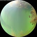 ./images/calvert/underwater/20260730/underwater20260730_120501M.jpg