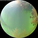 ./images/calvert/underwater/20260730/underwater20260730_121502M.jpg