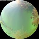 ./images/calvert/underwater/20260730/underwater20260730_122002M.jpg