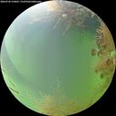 ./images/calvert/underwater/20260730/underwater20260730_124001M.jpg