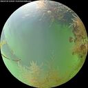 ./images/calvert/underwater/20260730/underwater20260730_124501M.jpg