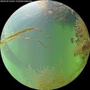 ./images/calvert/underwater/20260730/underwater20260730_125501M.jpg