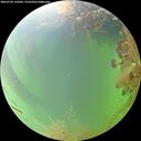 ./images/calvert/underwater/20260730/underwater20260730_132002M.jpg