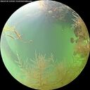 ./images/calvert/underwater/20260730/underwater20260730_133502M.jpg