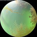 ./images/calvert/underwater/20260730/underwater20260730_134501M.jpg