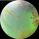 ./images/calvert/underwater/20260730/underwater20260730_135001M.jpg