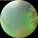 ./images/calvert/underwater/20260730/underwater20260730_135501M.jpg