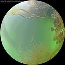 ./images/calvert/underwater/20260730/underwater20260730_140002M.jpg