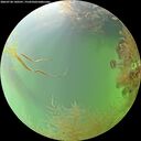 ./images/calvert/underwater/20260730/underwater20260730_140501M.jpg