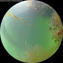 ./images/calvert/underwater/20260730/underwater20260730_141002M.jpg