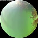 ./images/calvert/underwater/20260730/underwater20260730_144001M.jpg