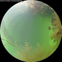./images/calvert/underwater/20260730/underwater20260730_150002M.jpg
